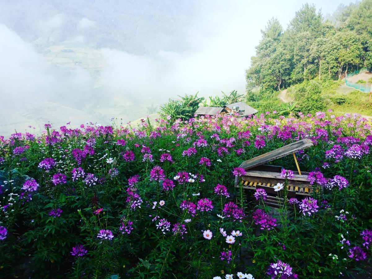 Mu Cang Chai Big View Homestay, Tour & Vegetarian Kültér fotó